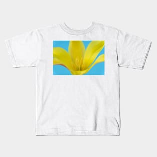 Tulipa kolpakowskiana AGM Kolpakowsky&#39;s tulip Miscellaneous tulip Kids T-Shirt